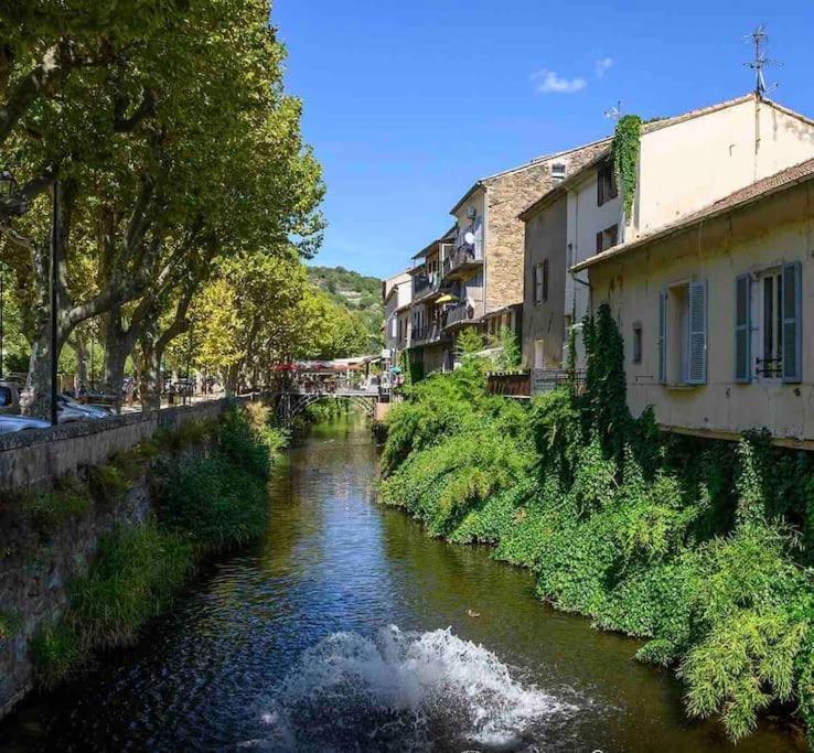 Le Pearl Appartement De Charme En Bord Riviere Collobrières Kültér fotó